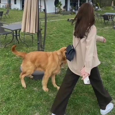 柚木家的四兄弟